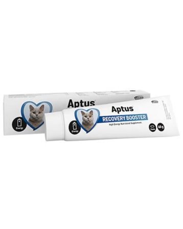 Aptus Recovery Booster pasta energitilskudd katt 60 g