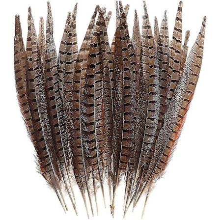 30 st Naturliga Fasanfjädrar, DIY Fasanstjärtfjädrar, 15-28 cm Mjuk Naturlig Plymer För Hårhattar Hantverk Festdekoration, Naturlig Färg