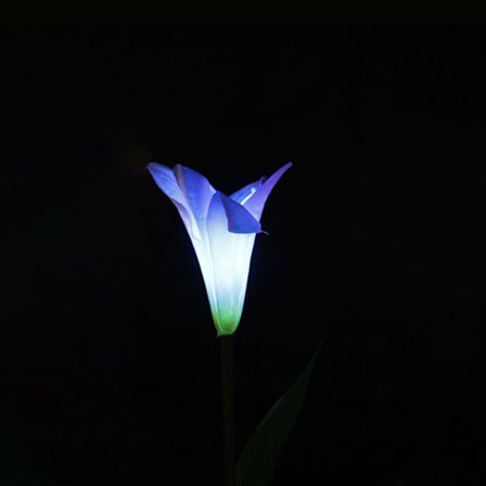 Blomsterlykt Tulipan 3 3