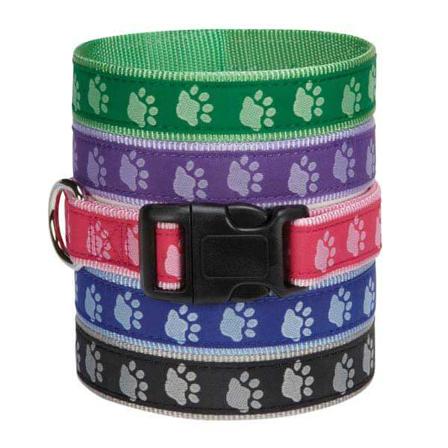 GG Pawprint Halsband - Viol - Hurtta, Julius-k9, Fuzzyard, Flexi, Ruffwear, Petstudio, Casual Canine, Dog is Good mm. på Doggie.se