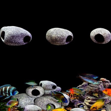 Cichlid Stone Aquarium Rock Räkuppfödning Cave Hideaway Fish