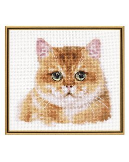 Broderikit Tavla Teddy Cat