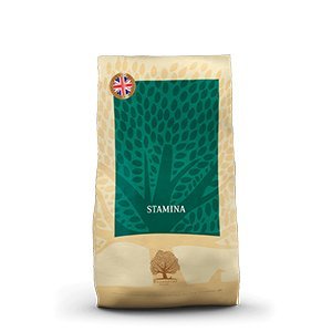 Essential Our Finest Stamina