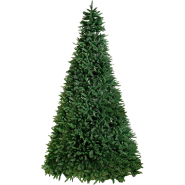 Juletre Star Trading Calgary G