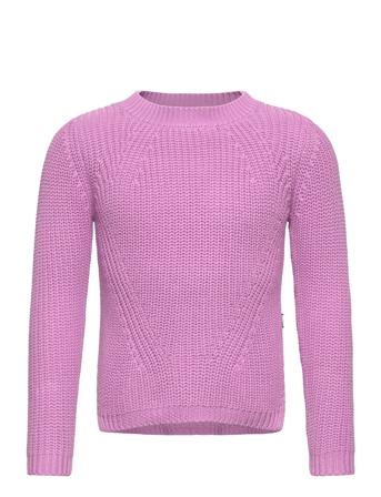 Gillis Purple Molo