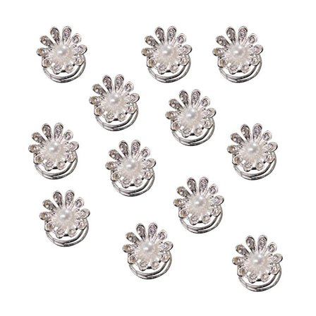 12pcs Spiral Hair Pins Swirl Hair Twists Coils Hair Clip Accessories