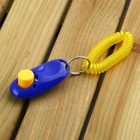 Hunde-klikker for trening av lydighet og agility med håndleddsstropp