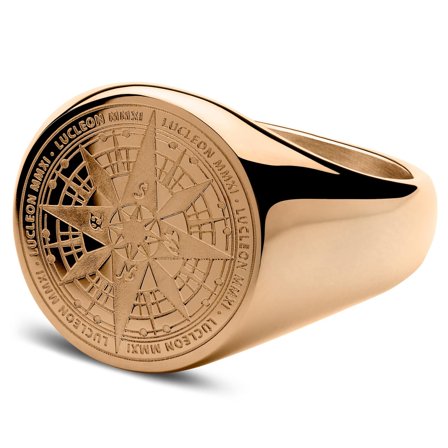 Rose Gold-tone Surgical Steel Compass Signet Ring for Men - Signet rings