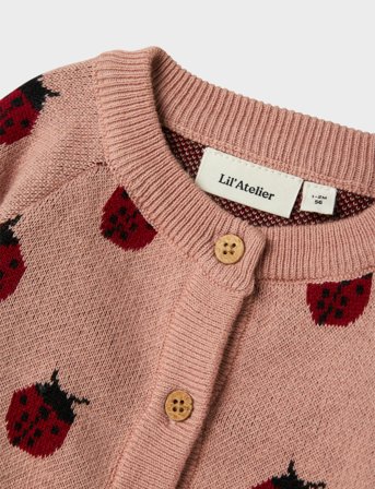 Lil'Atelier Nbflulio Knit Card Lil Noos - Pink - 68