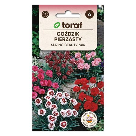 Frö till fjädernejlika Spring Beauty Mix – Doftande och långblommande perenn