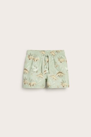 Newbie | Badshorts med dinosaurier | Grön