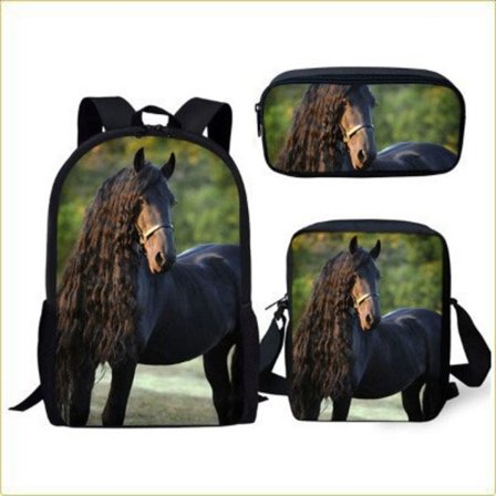 Tredelt hesterygsæksæt til skole med isoleret madkasse penalhus (6)