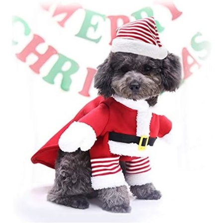 Julekostumer til kæledyr, Julekostumer til hunde, sjove kattekostumer