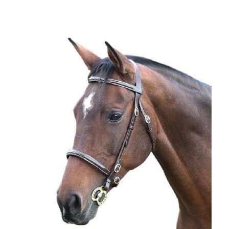 Blenheim Fancy Stitch Läderhäst Inhand Bridle Full Havana