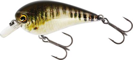 Westin BassBite 2,5 Squarebill 7cm 16g Floating Real Minnow