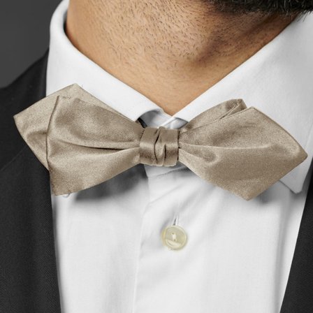 Shiny Champagne Basic Pointy Pre-Tied Bow Tie for Men - Pre-tied bow ties