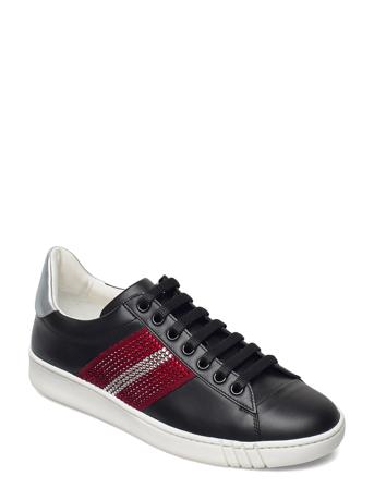 Wiera-Tsp/00 Blue Bally