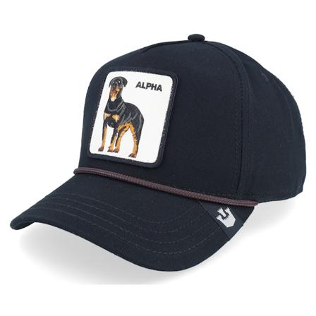 Goorin Bros. - Alpha Dog 100 All Over Canvas Black A-Frame Adjustable Adjustable Black Cap - @ Hatstore