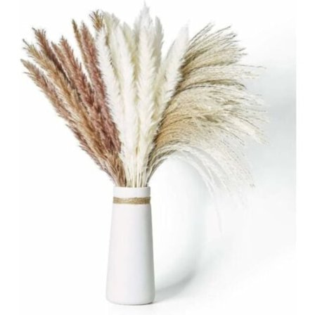 60 stk. 65 cm Naturlig Tørket Pampasgress med 3 Typer Farge, Luftig og Svingende DIY Bohemsk Plante for Bryllup Blomsterarrangementer Hjemmeinnredning