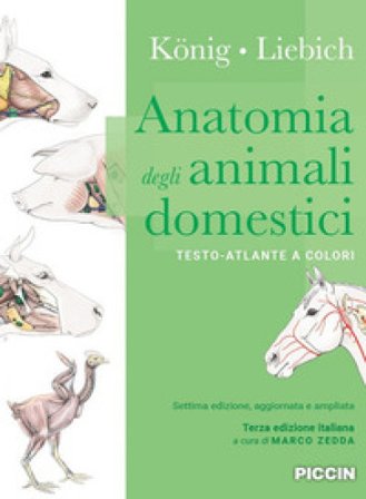 Anatomia degli animali domestici. Testo-atlante a colori Horst E. König