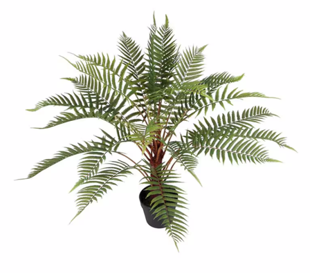 Mr Plant Kunstig Plante Ormbunke H80cm