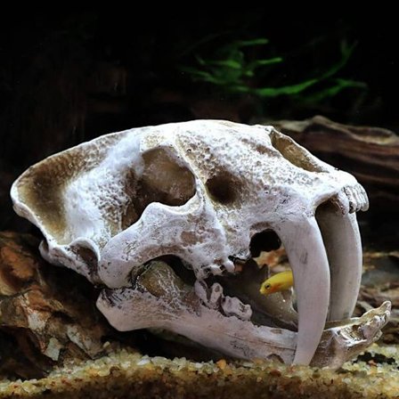 Akvarium akvarium dinosauriehuvud skalle prydnad harts hantverk Halloween rekvisita populärvetenskapliga verktyg