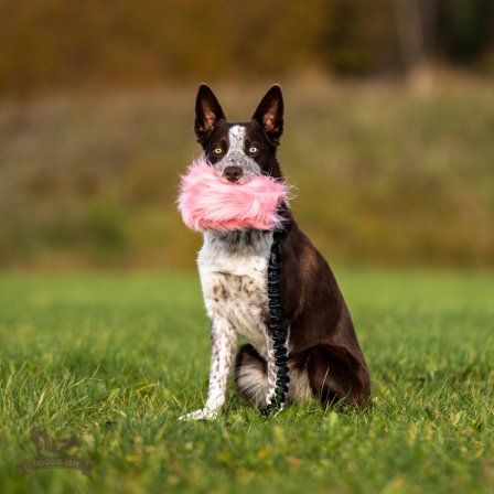 Doggie-Zen Langhåret Elastisk Belønningsleke i Fuskepels - L