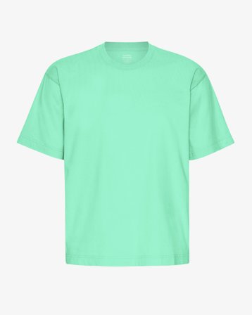 Oversized Organic T-Shirt - Spring Green XS