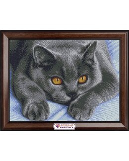 Diamond painting Katt - Arti Balta