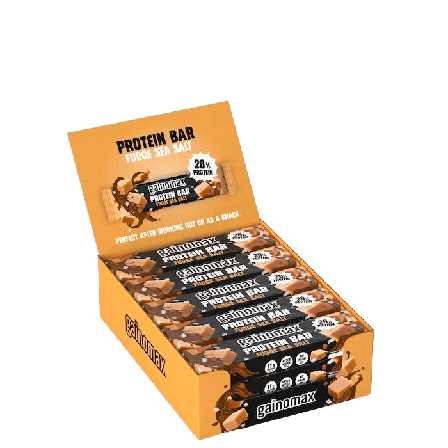 Proteinbars 15 x Gainomax Protein Bar 60 g, Fudge Seasalt - Bodyman.dk