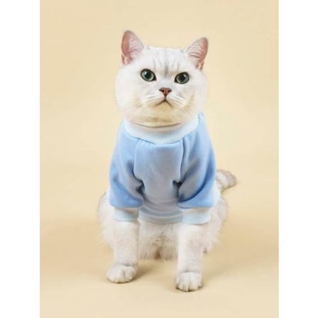 Kat & Hund Sweatshirt