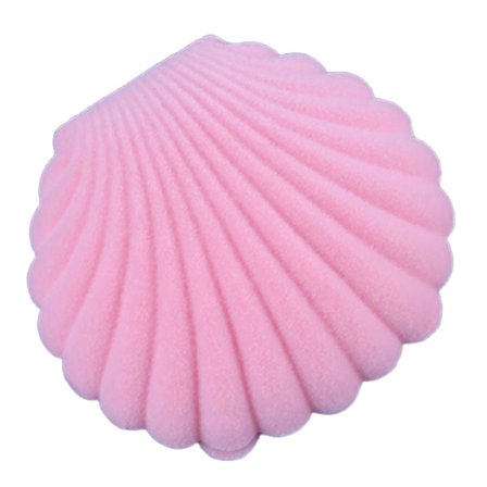 Sød Havskals Øreringe Ring Halskæde Display Opbevaring Organizer Gave Smykkeæske BoSaiD