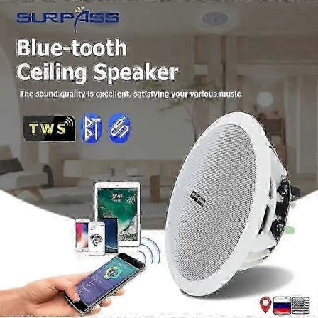 2025 Vandtæt Bluetooth Loftshøjttaler med Indbygget Digital Forstærker 10W 6 Tommer