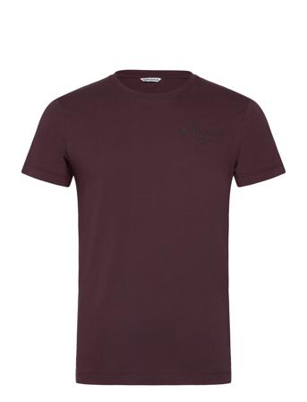 Borg Essential 1 T-Shirt Sport Men Men Sports Clothes Sport Tops Sport T-shirts Purple Björn Borg
