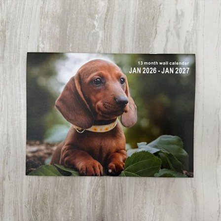 2026 Ny gränsöverskridande storsäljare Amazon engelsk Highland Cow Katt Hund Kalender/Skrivbordskalender 14 Storörade Hund