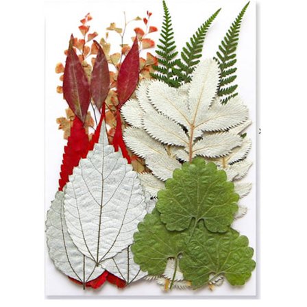 Tørrede blomster med farverige blade, præget emballage, bogmærker