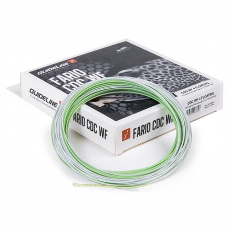 Guideline Fario CDC WF #3