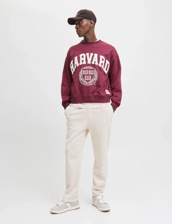 Jack & Jones Jpstkane Bradley Uncuffed Swt Pants Noos - Cream - XL