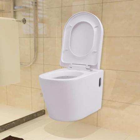 Vidaxl Vägghängd Toalett Med Dold Cistern Keramik Vit Vit