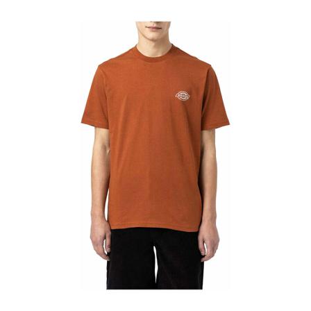 Dickies T-Shirts Brun, Herre