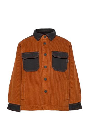 Henley Skaljakke Outdoorjakke Brun Molo