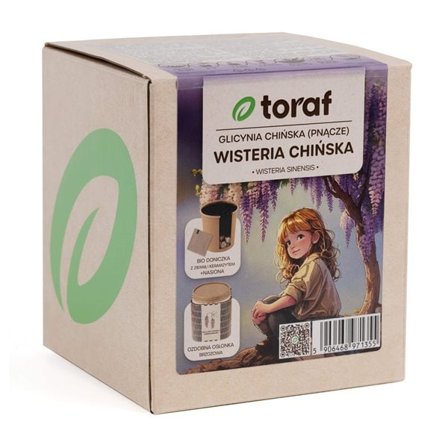 Wisteria siemenistö ja kasvatusastia - Upea kukkiva köynnöskasvi