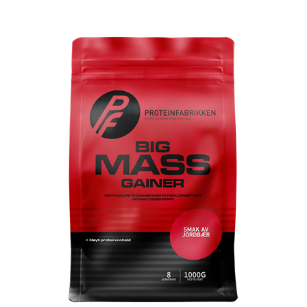 Proteinfabrikken Big Mass Gainer, 1000 g