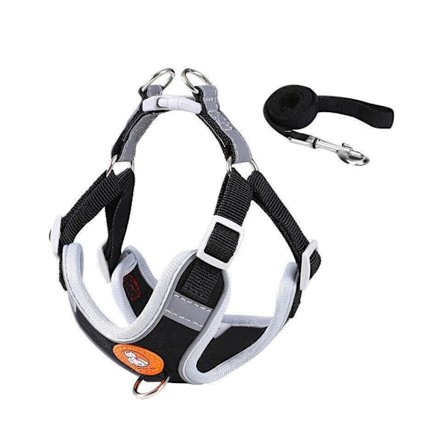 Hundsele Katt Koppel Valp Koppel Väst Mesh Andas Justerbar Stöd Smådjur Svart M