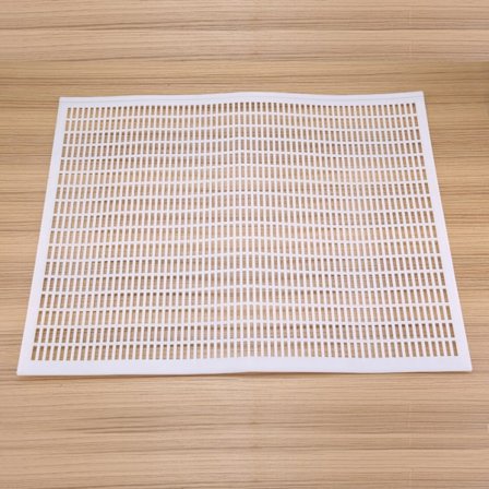 10-rammers Dronningutelukker Fangstnett Gitter Birøkt Plastutstyr