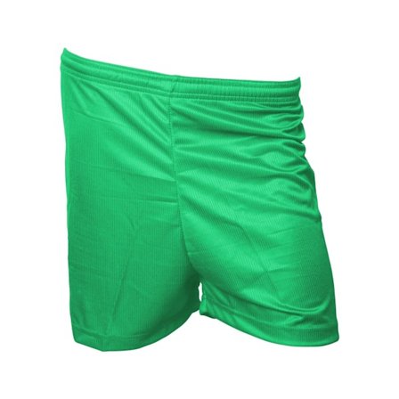 Precision Unisex Vuxen Micro-Stripe Fotbollsshorts XXL Grön