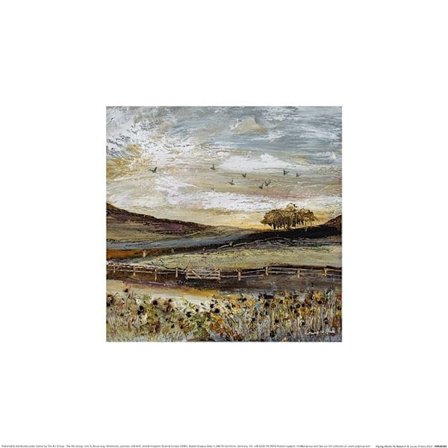 Louise O ́Hara Flying Home To Roost II Poster 60cm x 60cm Vit/