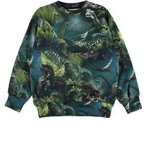 Molo Dino Nights Mattis GOTS Sweatshirt 122 cm - Jumpers and knitwear - 122 cm - Green - Junge