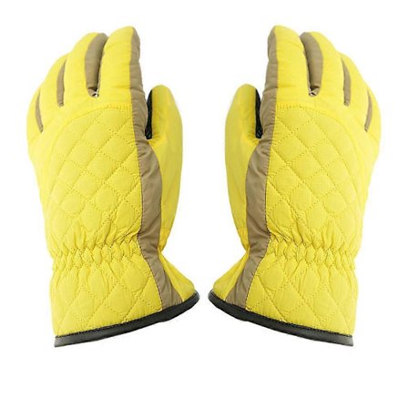 Dame Mesh Simple Vinter Skihandsker Vandtætte Varme Vindtætte