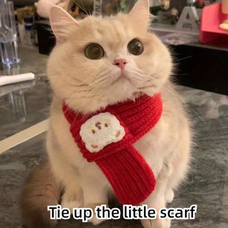 Kattscarf, Nyårs röd scarf, Hundscarf tillbehör, Guldgradient Björn Litet Hundhalsband, Scarf Tillgänglig